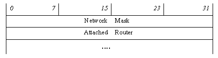 LSA type 2