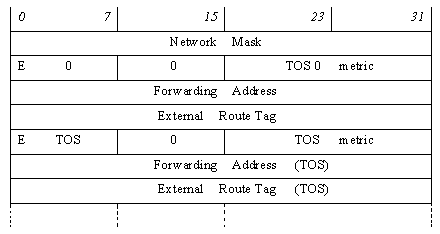 LSA type 5
