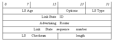 LSA header