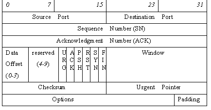 TCP Header